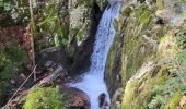 Tour Wandern Lepuix - Malvaux - Ballon d'Alsace (15/12 au 15/7) - Photo 2