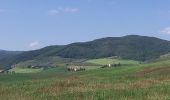 Tour Wandern San Quirico d'Orcia - San Quirico /  Gallina - Photo 4