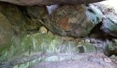 Randonnée Marche Fontainebleau - Fontainebleau sentier Denecourt 10 - Photo 1