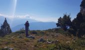 Tour Wandern Lans-en-Vercors - Vertige des Cimes - Grand Cheval - Pic St Michel - Col de  l Arc - Photo 6