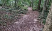 Trail Walking Chamarande - Lardy - Le Lièvre d'Or - Photo 1