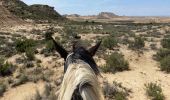 Trail Horseback riding Bardenas Reales de Navarra - Bardenas jour 4 - Photo 12