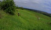 Tocht Mountainbike Walcourt - activity_8994564839 - Photo 9