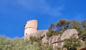 Trail Walking Le Revest-les-Eaux - Le tour du mt Caume - Photo 1