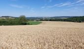 Tour Wandern Floreffe - FLOREFFE _ Marche Adeps  _ NA _ 24/07/2023PP - Photo 1