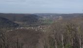 Tour Wandern Montgesoye - Montgesoye - Photo 20