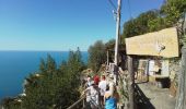 Excursión Senderismo Vernazza - Corniglia gare Veratta - Photo 17