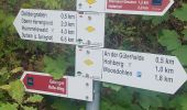 Trail On foot Durbach - Durbachtalweg - Photo 3