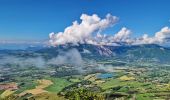 Tocht Stappen Gap - Le Cuchon et Pic de Charance Via Coréo - Photo 3