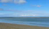 Tour Wandern Cayeux-sur-Mer - Le Hourdel - Photo 17