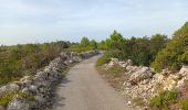 Excursión Senderismo Leucate - leucate - la franqui (via le plateau) - phare (via la falaise) - leucate (via le plateau) - Photo 3