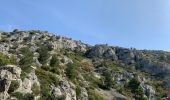 Tour Wandern Cassis - Plan olive - Photo 15