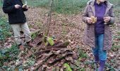 Randonnée Marche Montigny-la-Resle - Borne Cistercienne 10 - Photo 1