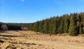 Trail Walking Büllingen - Rocher du Bieley   - Photo 5