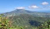 Tour Wandern Le Lorrain - Boucle Morne Jacob - Photo 11