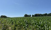 Tour  Attert - Balisage GR15 - Photo 6