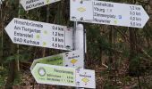 Trail On foot Unknown - Korbmattfelsen-Rundweg - Photo 10