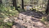 Trail Walking Waimes - Peak brune - Photo 8