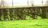 Trail On foot Poperinge - Zevekotepad Reningelst - Photo 5