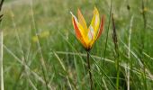Trail Walking Beuil - Les Cluots par les Gorges du Cians supérieur - Photo 6