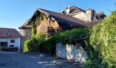 Randonnée Marche Évian-les-Bains - balade découverte Evians Neuvecelle  - Photo 2