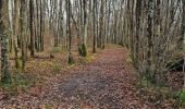 Trail Walking Marcilly-en-Beauce - Varennes - Photo 7