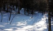 Tocht Stappen Saint-Christophe-sur-Guiers - La Ruchere - Col de l'Allienard - Photo 12