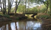 Tour Zu Fuß Otter - Otterberg Wanderweg - Photo 8