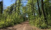 Excursión Senderismo Margny-lès-Compiègne - Forêt de Compiègne circuit au départ de la gare - Photo 4