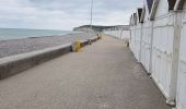 Tour Nordic Walking Quiberville - autour de quiberville  - Photo 1