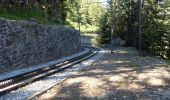 Trail Walking Chamonix-Mont-Blanc - Trajet Retour - Photo 19