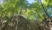 Trail Walking Allèves - 06-09-2022 Tours Saint Jacques-Grottes de Bange  - Photo 2