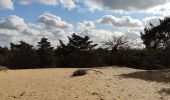 Tour Wandern Maaseik - A la découverte des dunes du Limbourg  - Photo 4