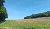 Tocht Stappen Saint-Vit - saint vit - velesmes-essarts /  autour du bois des saussottes - Photo 6