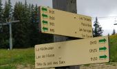 Tour Wandern Arâches-la-Frasse - Les Carroz tête des Saix boucle - Photo 8