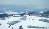 Randonnée A pied Grünenplan - HZ3 Auf dem Kammweg zum Raabe-Turm - Photo 5