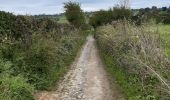 Tour Wandern Trooz - forêt  . st hadelin  . hansez . en gelivaux . foret - Photo 8