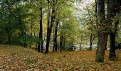 Tour Zu Fuß Marienbad - Metternichova cesta - Photo 5