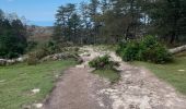 Trail Walking Urrugne - La Rhune en boucle - Photo 1