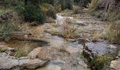 Randonnée Marche Mialet - Sentier de Roquefeuil- Mas Soubeyran - Photo 5