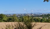 Excursión Senderismo Jourgnac - puy de banneix  - Photo 11