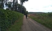 Trail Walking Theux - aout3 - Photo 2