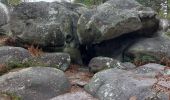 Excursión Senderismo Fontainebleau - Bas Breau  - Photo 3