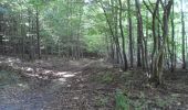 Tocht Stappen Montmain - 20220915-Montmain  - Photo 5