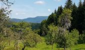 Tour Wandern Beulotte-Saint-Laurent - Beulotte St Laurent - le plateau des Mille Etangs - Photo 2