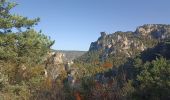 Trail Walking Peyreleau - belle rando dans les Cevennes  - Photo 8