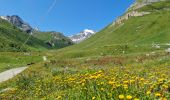 Excursión Senderismo Pralognan-la-Vanoise - Prioux, Chapendu - Photo 8