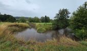 Tocht Stappen Gulpen-Wittem - Epen - Photo 17
