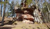 Percorso Marcia Obersteinbach - Obersteinbach - châteaux du Petit Arnsberg, du Wasigenstein et du Blumenstein - Photo 9