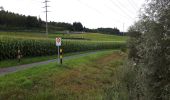 Tour Zu Fuß Affoltern am Albis - Ottenbach - Affoltern a.A. - Photo 2